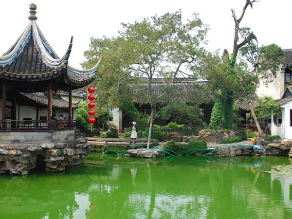 綠化苗木企業如何發展壯大