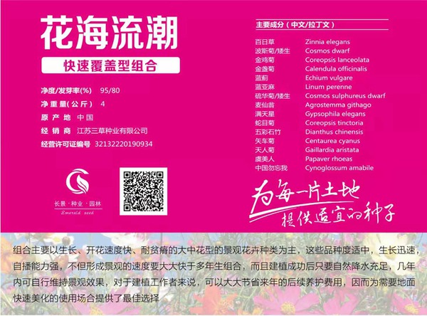 快速覆蓋型野花組合_圖片_種子價格 快速覆蓋型野花組合_圖片_種子價格