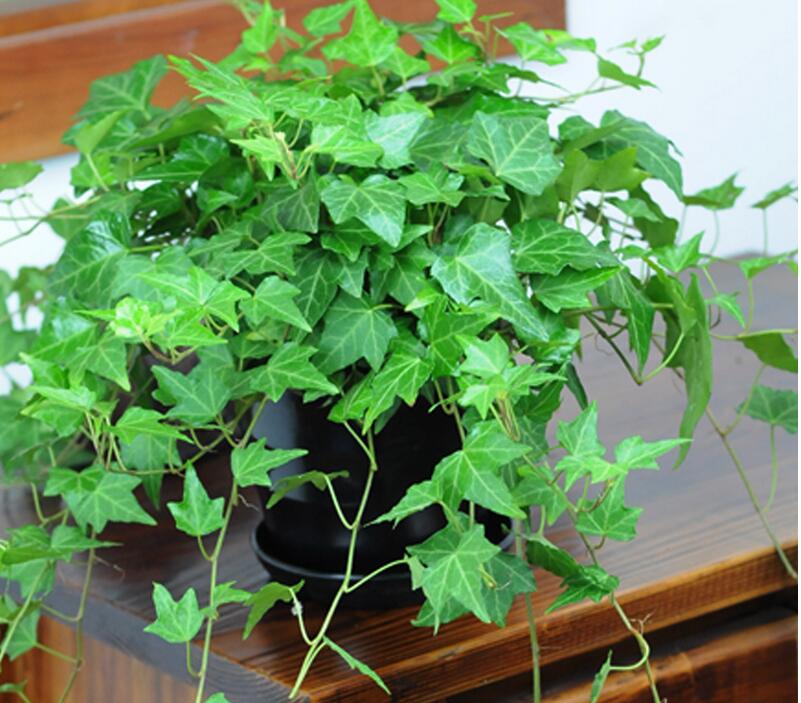 1648444379674563.jpg 1648444379674563.jpg