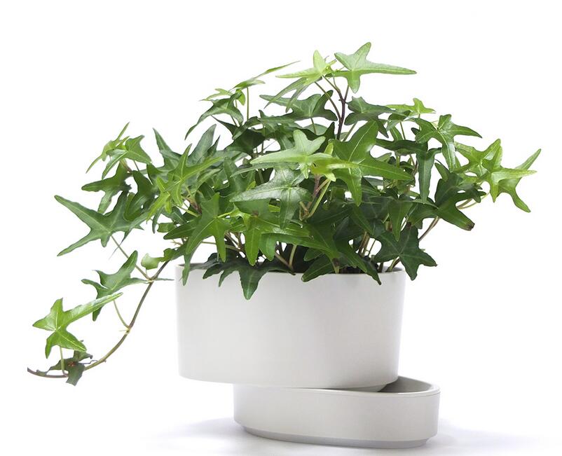 1648444379883051.jpg 1648444379883051.jpg