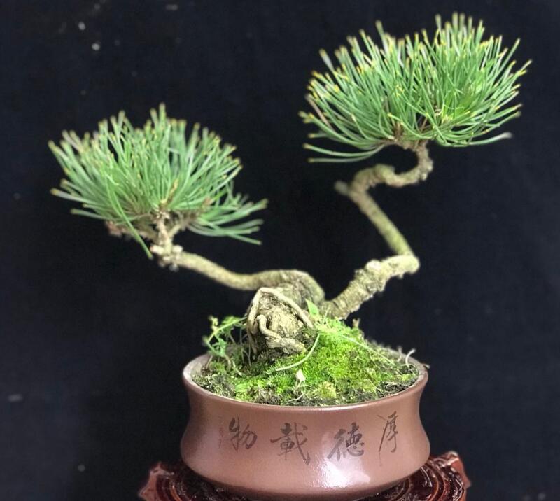 1648444485476678.jpg 1648444485476678.jpg