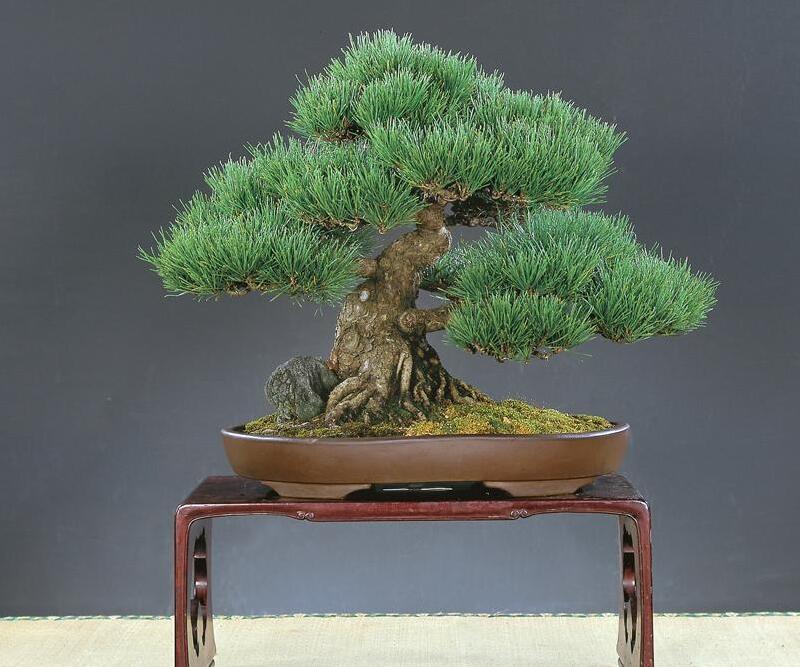 1648444485648015.jpg 1648444485648015.jpg