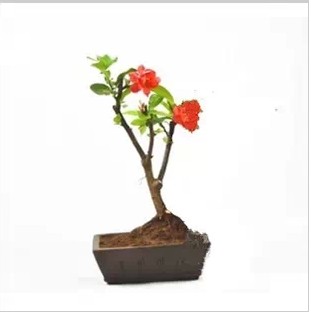 1648444966536855.jpg 1648444966536855.jpg