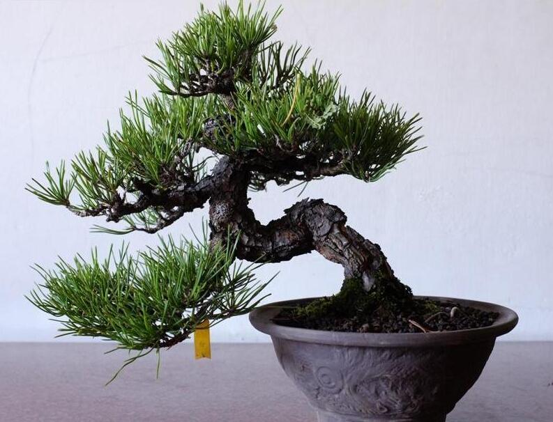 1648536741743599.jpg 1648536741743599.jpg