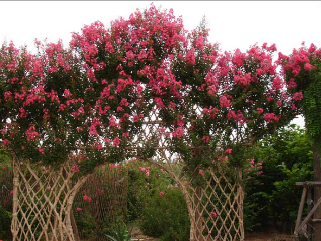 1648538038622493.png 1648538038622493.png