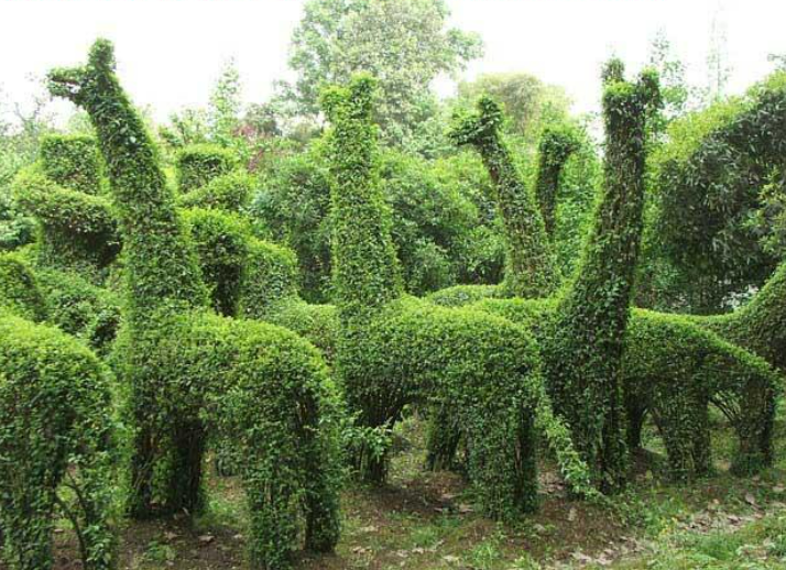 1648607570732888.png 1648607570732888.png