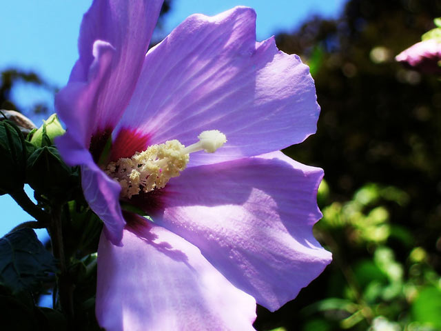 1650117232885898.jpg 1650117232885898.jpg