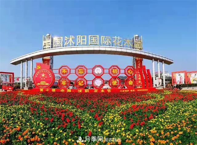 值得收藏！這些全國著名苗木產地你知道幾個？