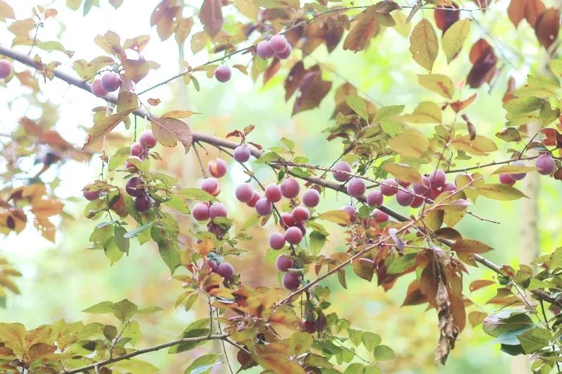 1673153705784907.jpg 微信圖片_20230107194913.jpg