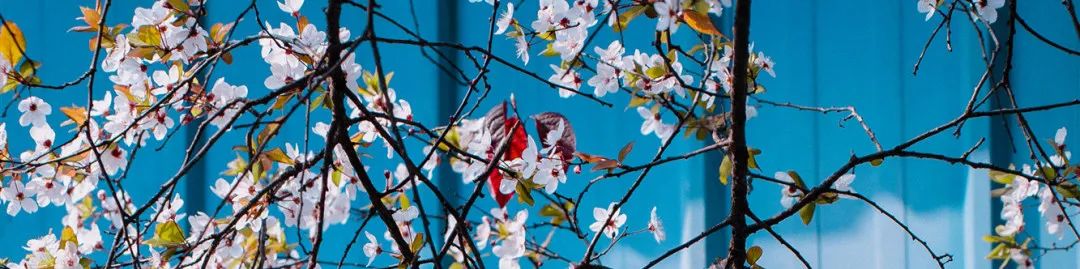 1673153728330299.jpg 微信圖片_20230107195013.jpg