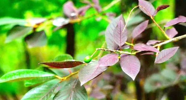 1673153901590560.jpg 微信圖片_20230108125625.jpg