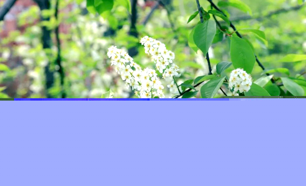 1673153907769043.jpg 微信圖片_20230108125634.jpg