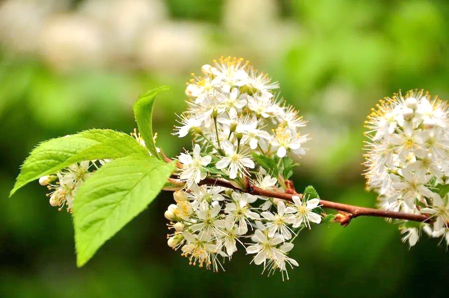 1673153915307982.jpg 微信圖片_20230108125713.jpg