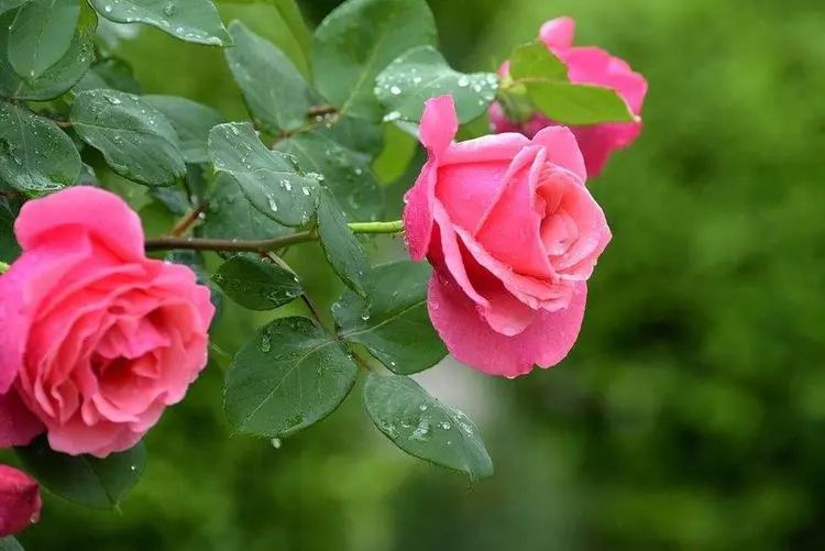 1673154030220689.jpg 微信圖片_20221126211640.jpg