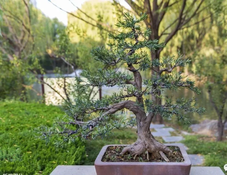 1673162111548754.jpg 微信圖片_20230107163739.jpg