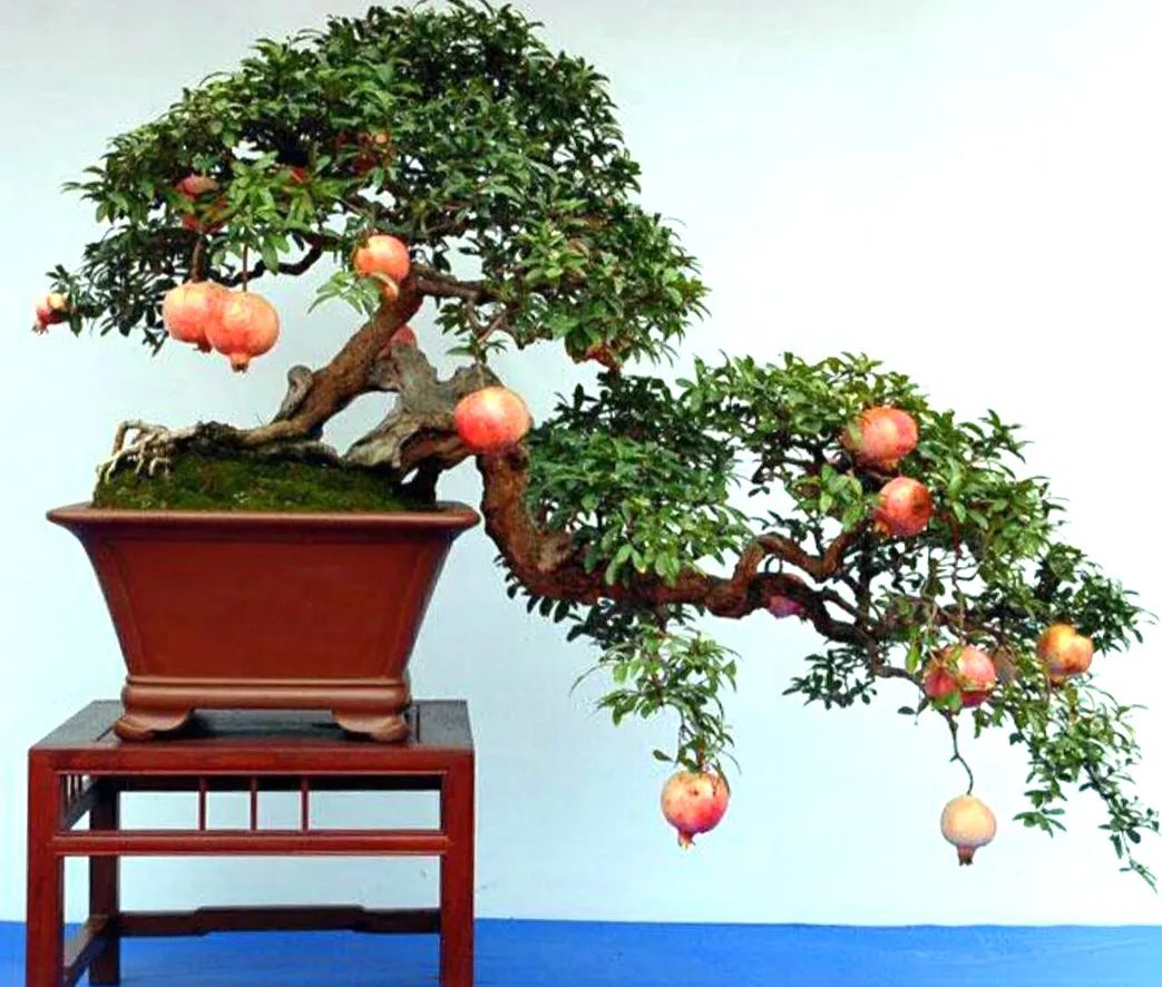 1673162132280651.jpg 微信圖片_20230107163820.jpg