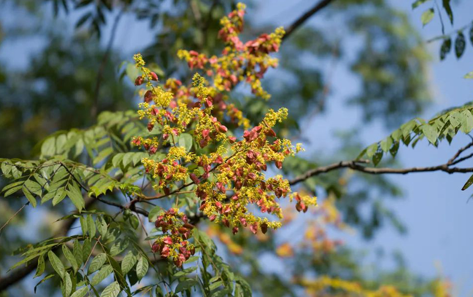 1673452651658888.jpg 微信圖片_20230107200538.jpg