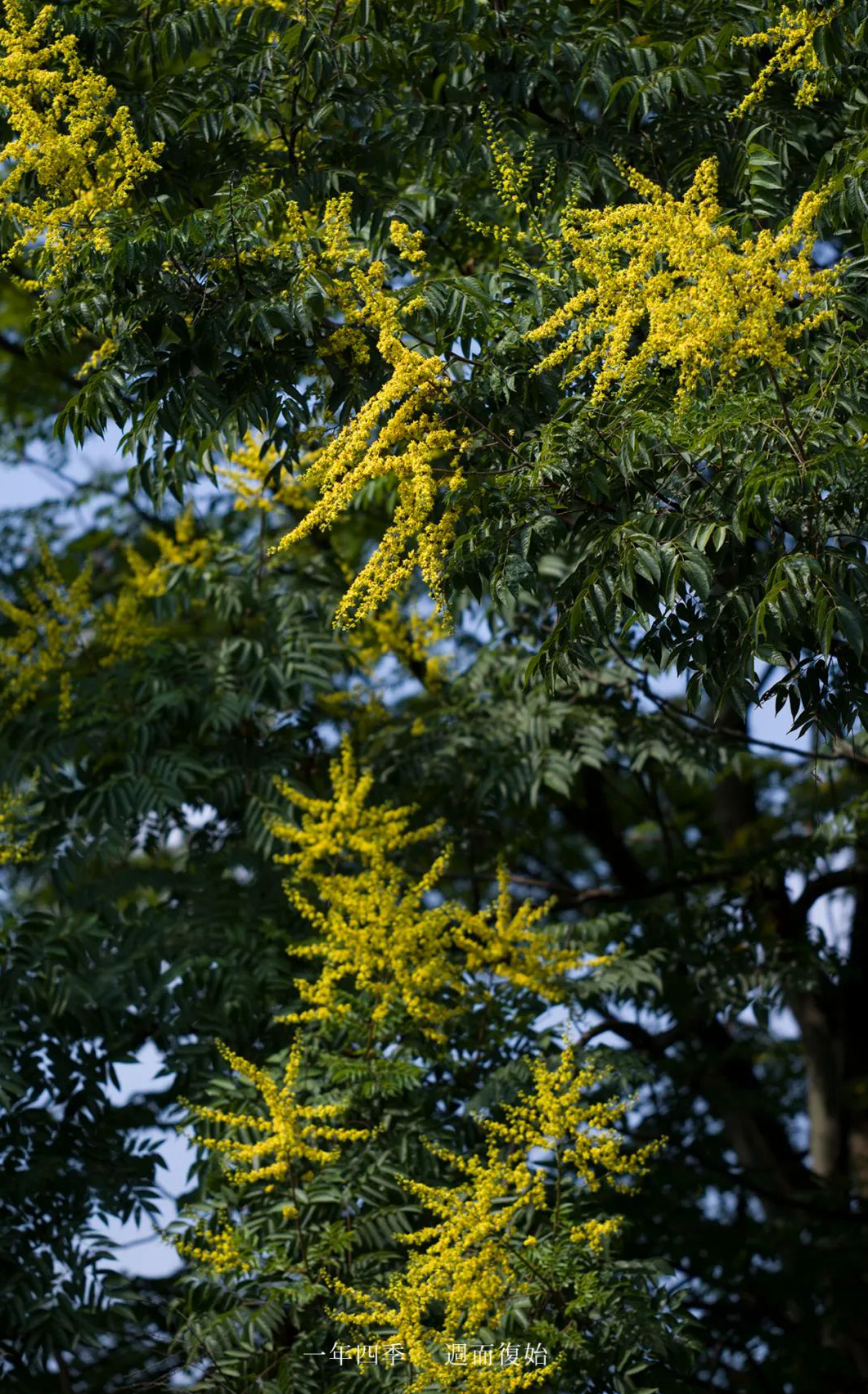 1673452658968788.jpg 微信圖片_20230107200510.jpg