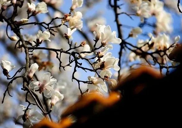 1673452894178346.jpg 微信圖片_20230112000104.jpg