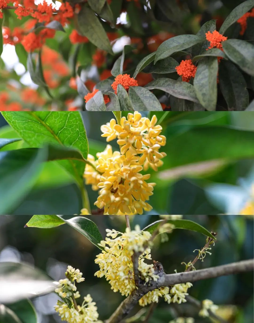 1673525360211018.jpg 微信圖片_20221026222443.jpg