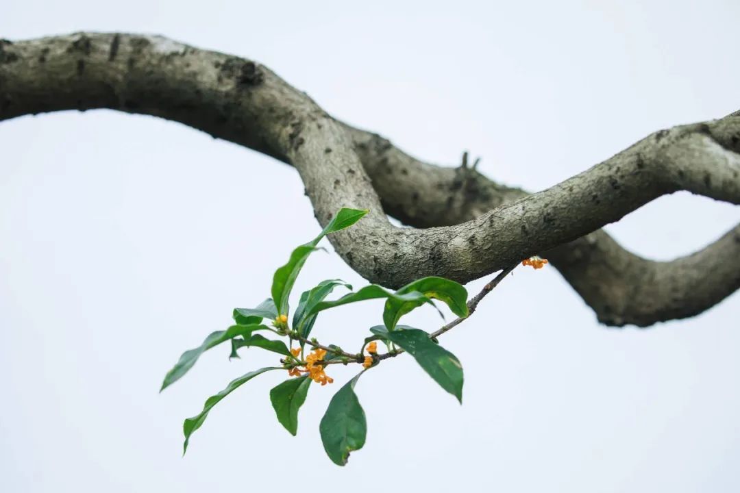 1673525384511989.jpg 微信圖片_20221026222420.jpg