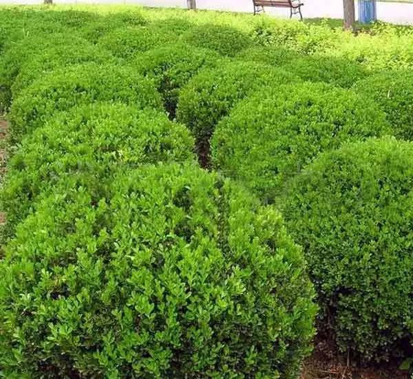 1673525665532781.jpg 微信圖片_20230112201404.jpg