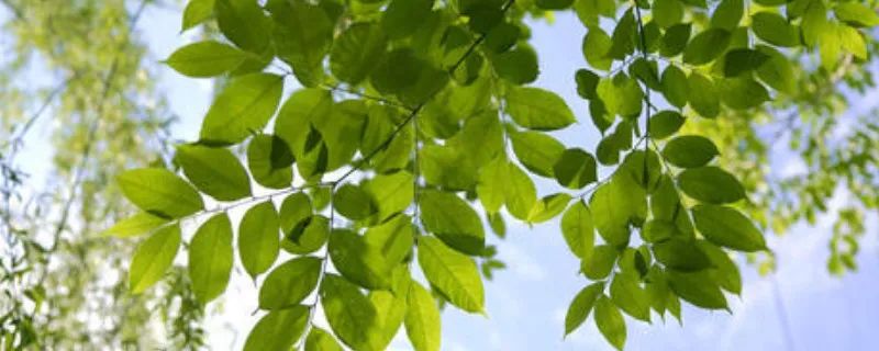 1673526121502560.jpg 微信圖片_20221025220203.jpg