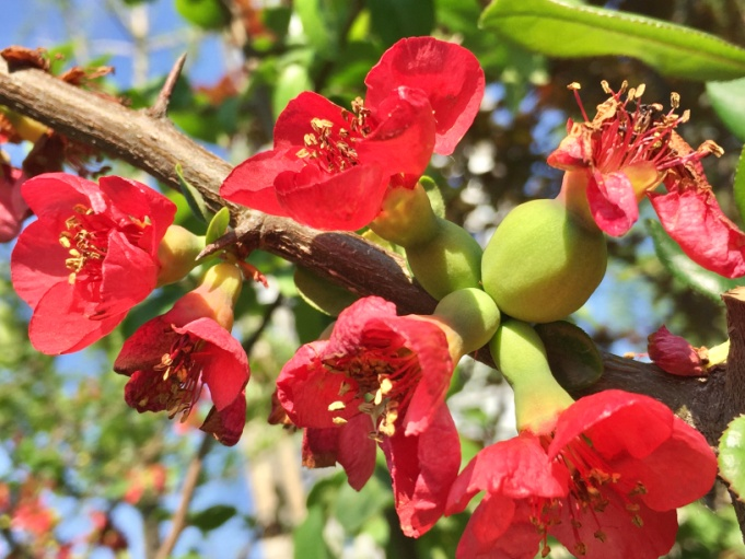 1673782733199158.png 微信圖片_20230115193713.png