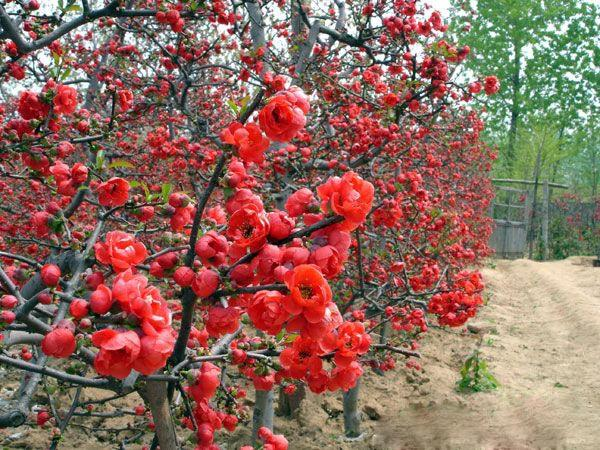 1673782739127363.png 微信圖片_20230115193728.png