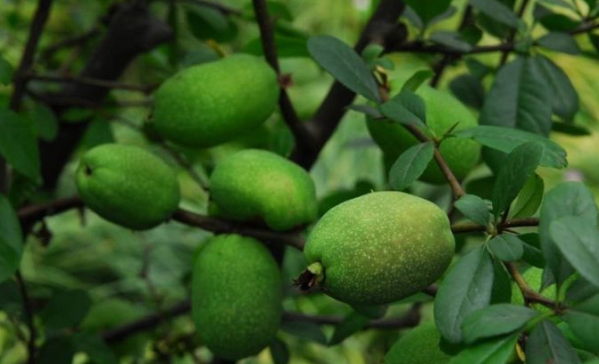 1673782756388079.jpg 微信圖片_20230115193758.jpg