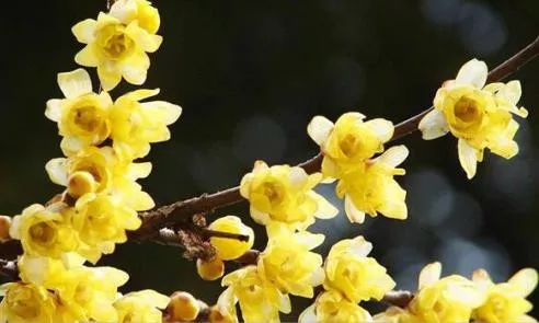 1673782858654138.jpg 微信圖片_20221120163350.jpg