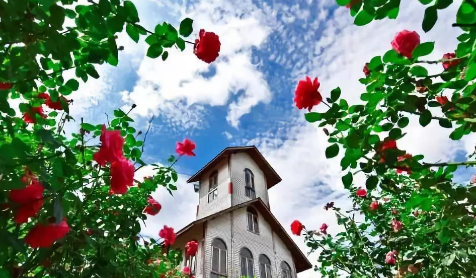 1673783718372544.jpg 微信圖片_20230115190024.jpg