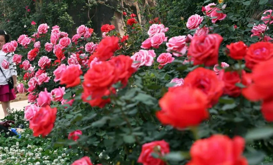 1673783736894264.jpg 微信圖片_20230115190040.jpg