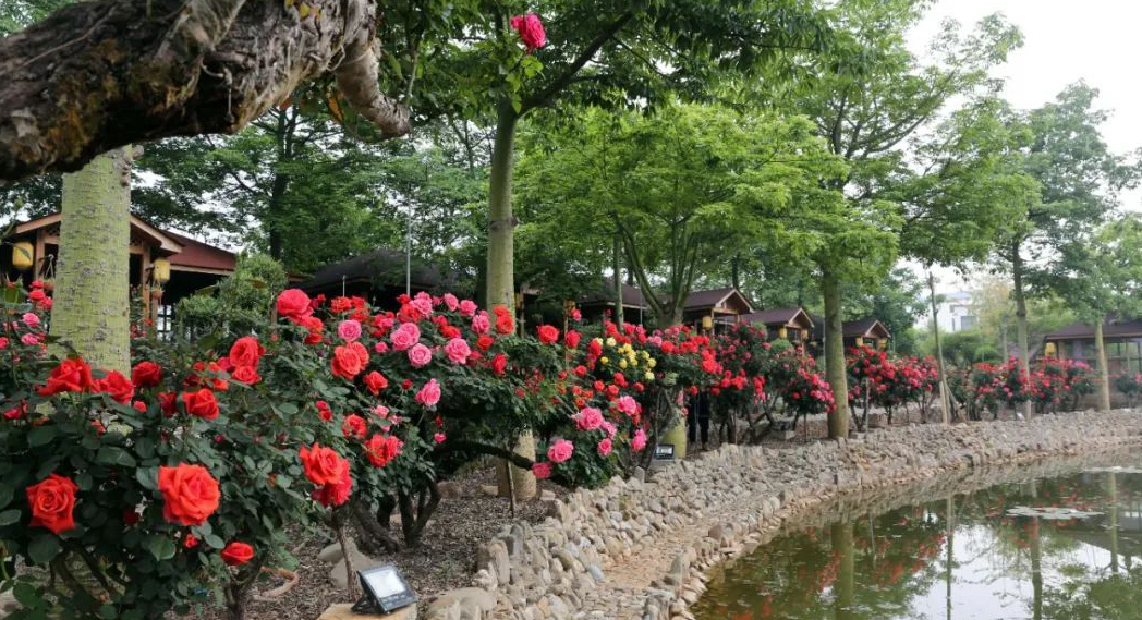 1673783745658436.jpg 微信圖片_20230115190101.jpg