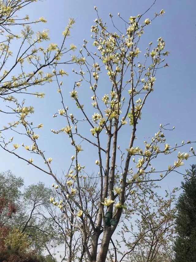 1673783883275654.jpg 微信圖片_20230113055156.jpg