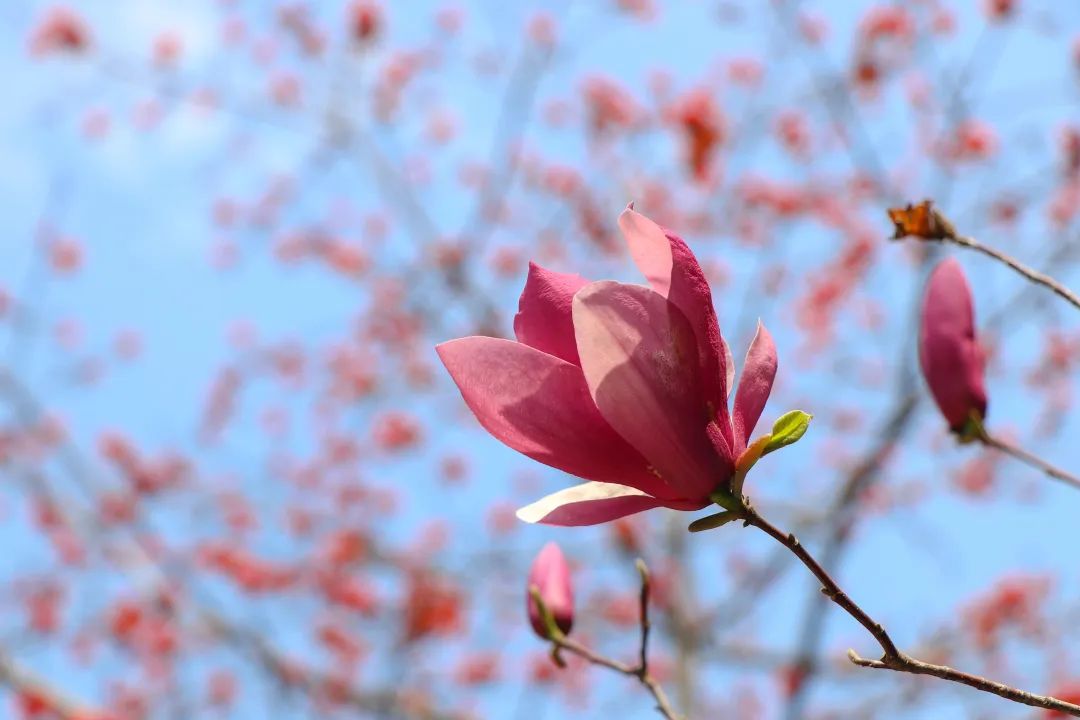 1673783893853291.jpg 微信圖片_20221125235203.jpg