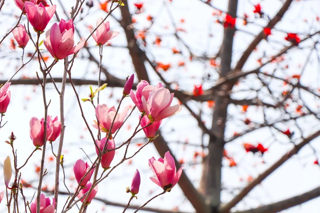 1673783900193721.jpg 微信圖片_20221125235219.jpg