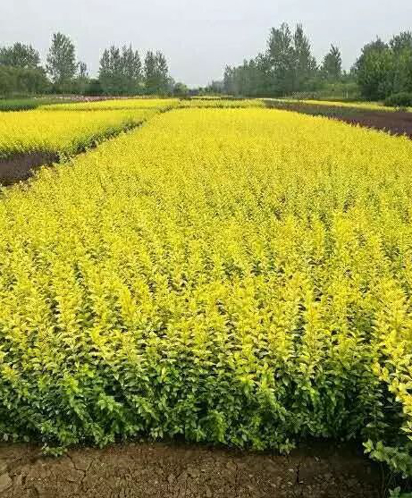 1673824664151974.jpg 微信圖片_20230115191829.jpg