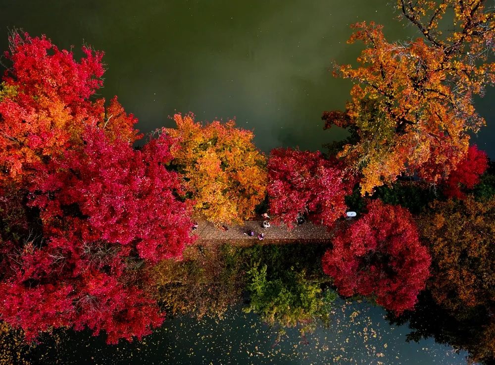 1675196137323936.jpg 微信圖片_20230107171416.jpg