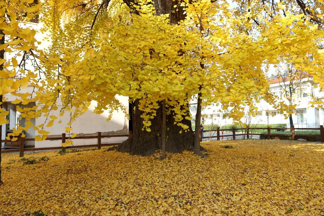 1675196722342205.jpg 微信圖片_20230112212754.jpg