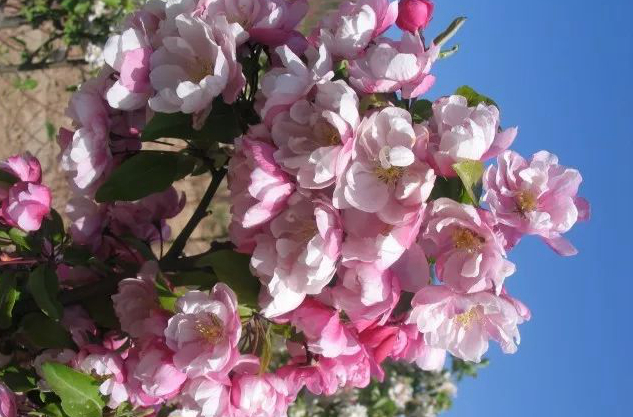 1675196871748792.jpg 微信圖片_20221128204924.jpg