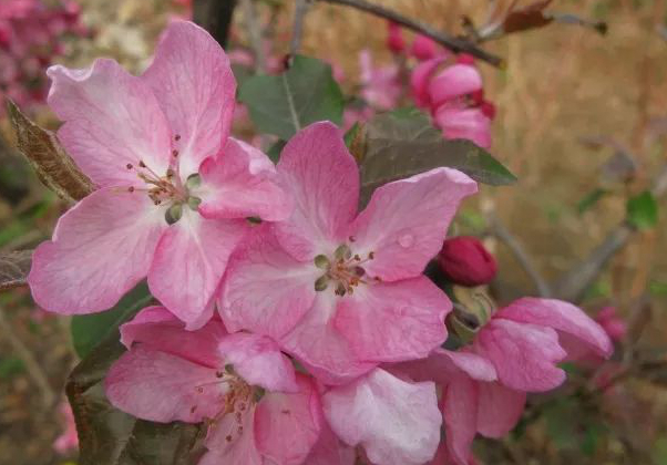 1675196881117592.jpg 微信圖片_20221128204932.jpg