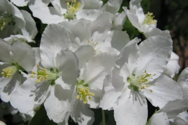 1675196888743858.jpg 微信圖片_20221128204938.jpg