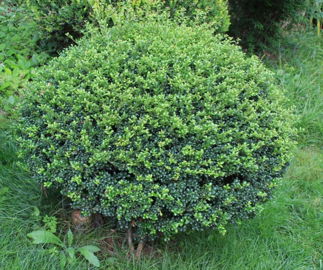 1675197160177905.jpg 微信圖片_20230201043150.jpg