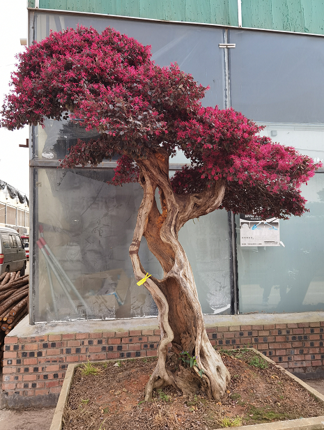 1675197550487825.png 微信圖片_20230201043815.png