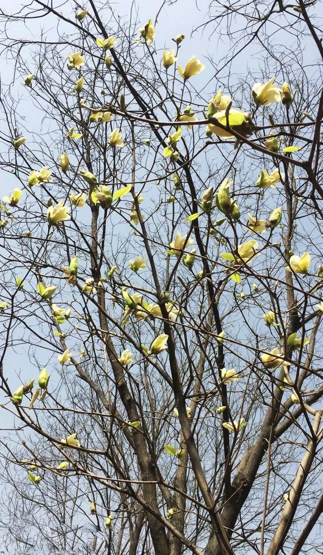 1675197656272292.jpg 微信圖片_20230113055159.jpg