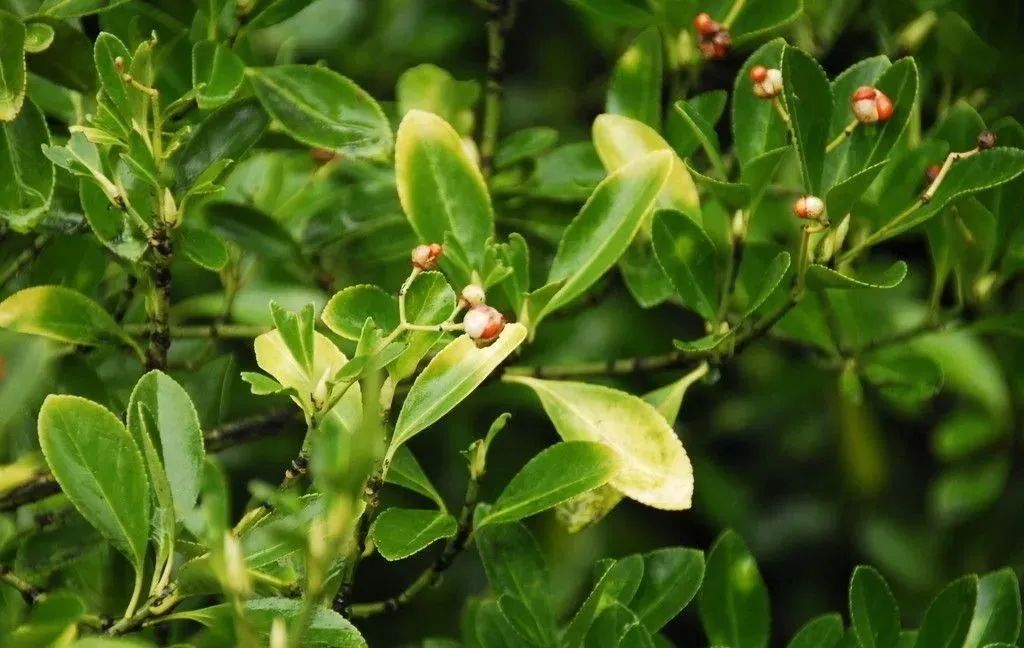 1675197849804274.jpg 微信圖片_20221125213732.jpg