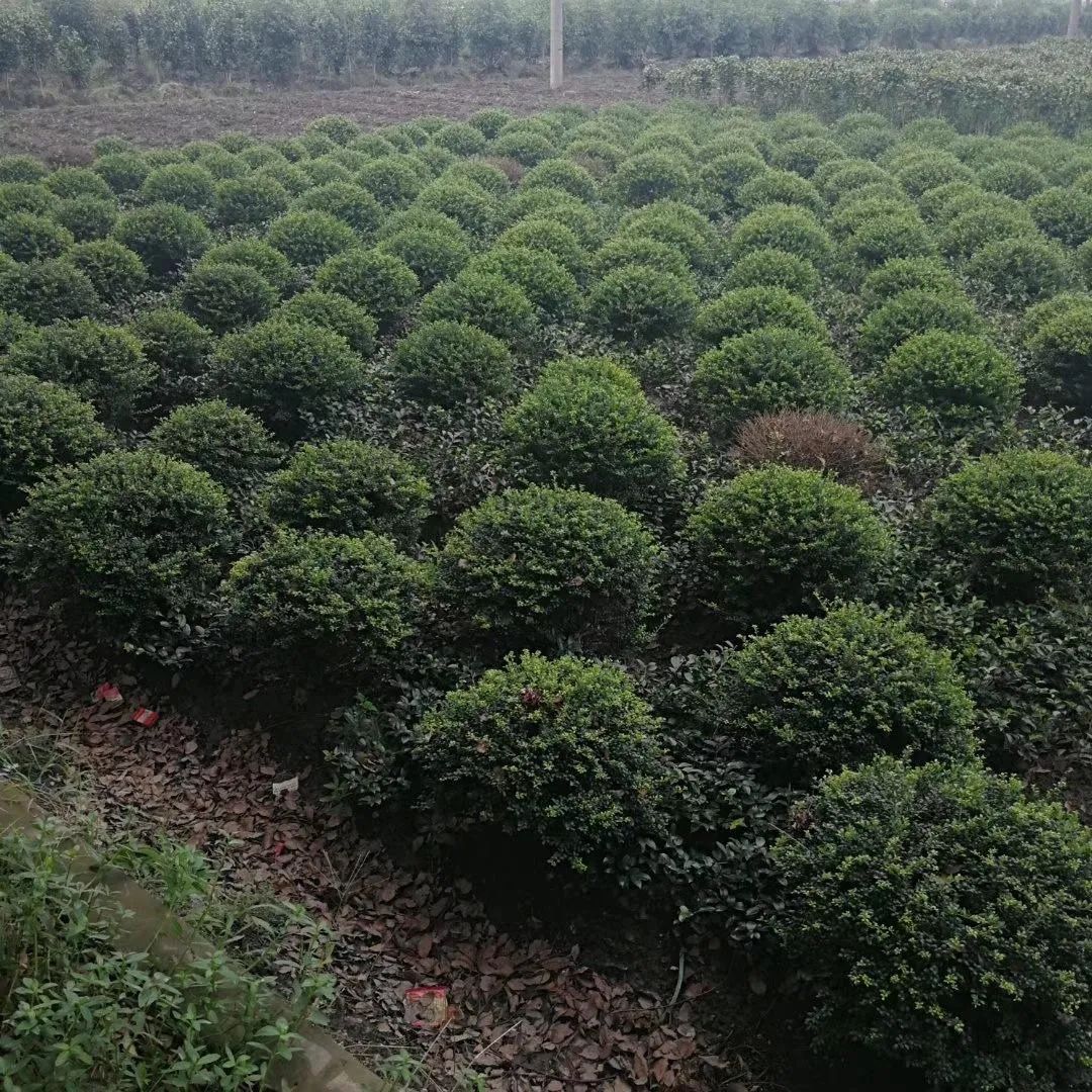 1675197855206137.jpg 微信圖片_20221125213740.jpg