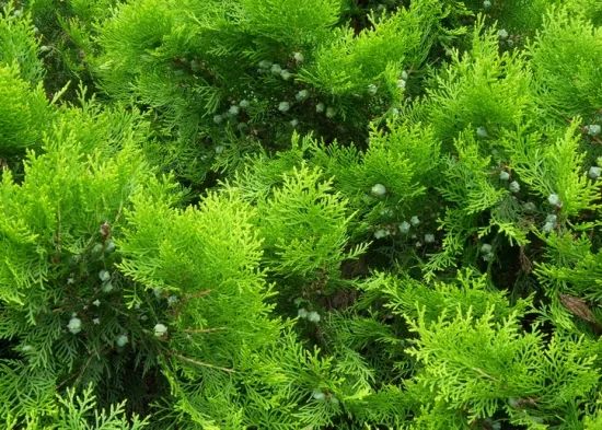 1675197924544159.jpg 微信圖片_20230107193612.jpg