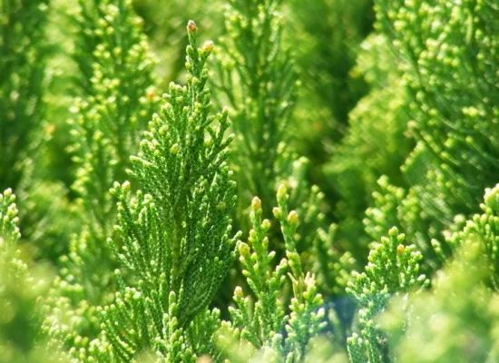 1675197933634554.jpg 微信圖片_20230107193620.jpg